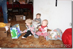 IMG_0573 IMG_0573