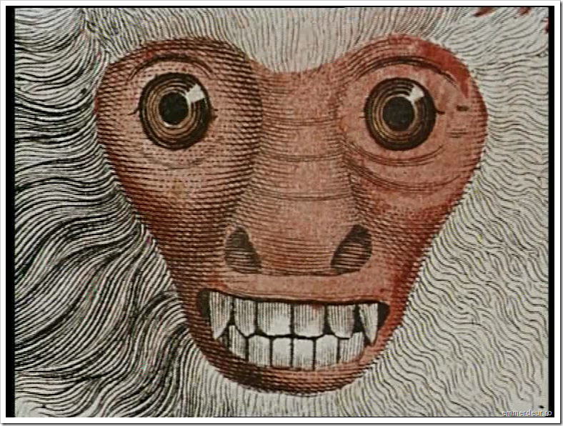 jan svankmajer historia naturae emmerdeur_518 jan svankmajer historia naturae emmerdeur_518