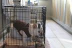 Francesca's Confinement