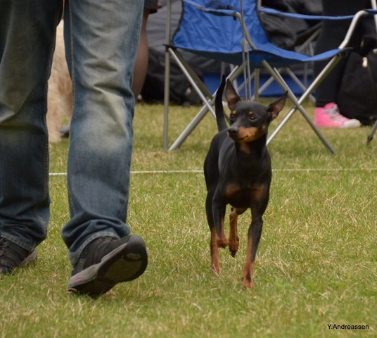 DSC_1164 DSC_1164