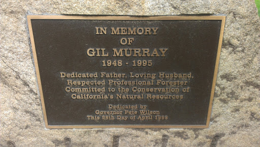 Gil Murray 