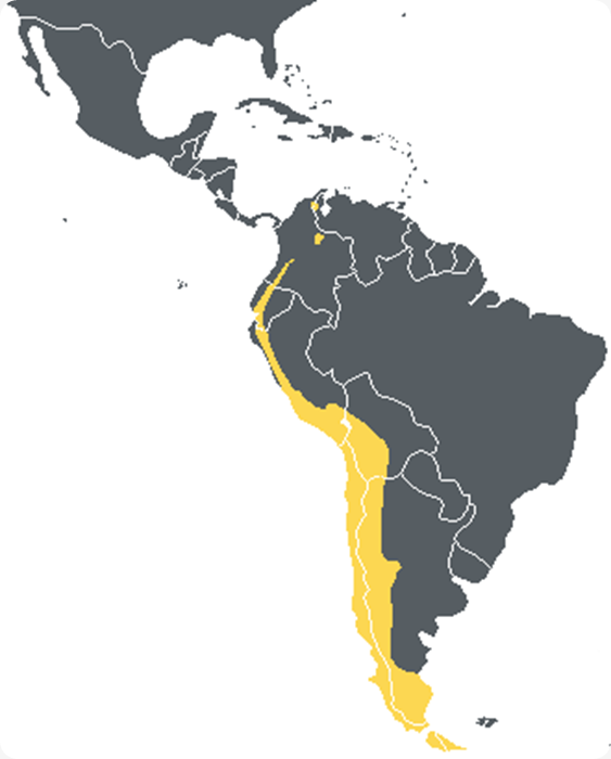 AndeanMap