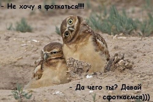 [1983_418325248261017_1680847401_n%255B4%255D.jpg]