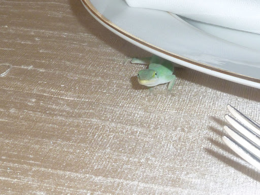 A special friend made an appearance while we were photographing the reception tables before the ceremony.