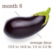 [week25to28%255B1%255D.jpg]