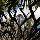 Jardim Bot&Atilde;&cent;nico da Ajuda