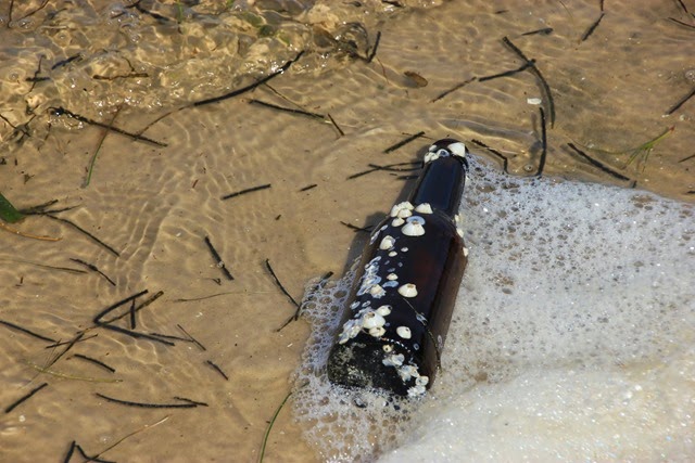 Robinson Preserve Beer Bottle