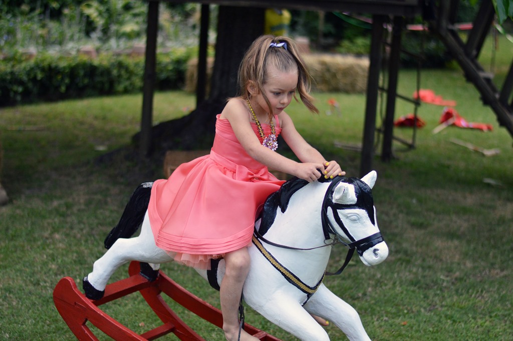 [DSC_0064%255B3%255D.jpg]