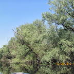 IMG_7624.JPG