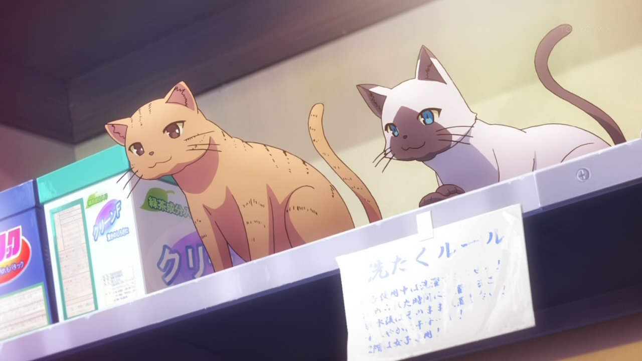 [%255Brori%255D%2520Sakurasou%2520no%2520Pet%2520na%2520Kanojo%2520-%252005%2520%255BAEB8723A%255D.mkv_snapshot_14.28_%255B2012.11.07_10.13.18%255D%255B2%255D.jpg]