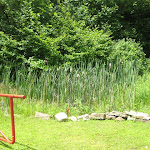 REC Park 2011 029.jpg