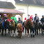 Sortie de Noel 2011 Débutants et confirmés