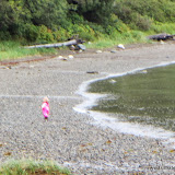 Praia familiar- Juneau, Alaska, EUA