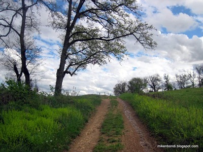 slightlier drier path home
