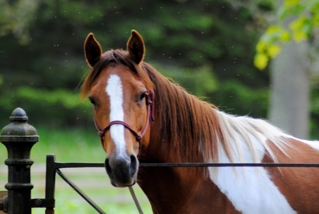 [3%2520June%25209%255B3%255D.jpg]