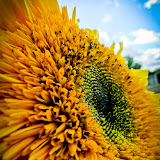 Afdelingstur2010 (44 of 167).jpg