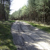 żółty szlak dsc06376.jpg
