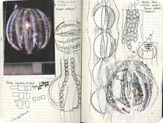 jelly sketchbook2
