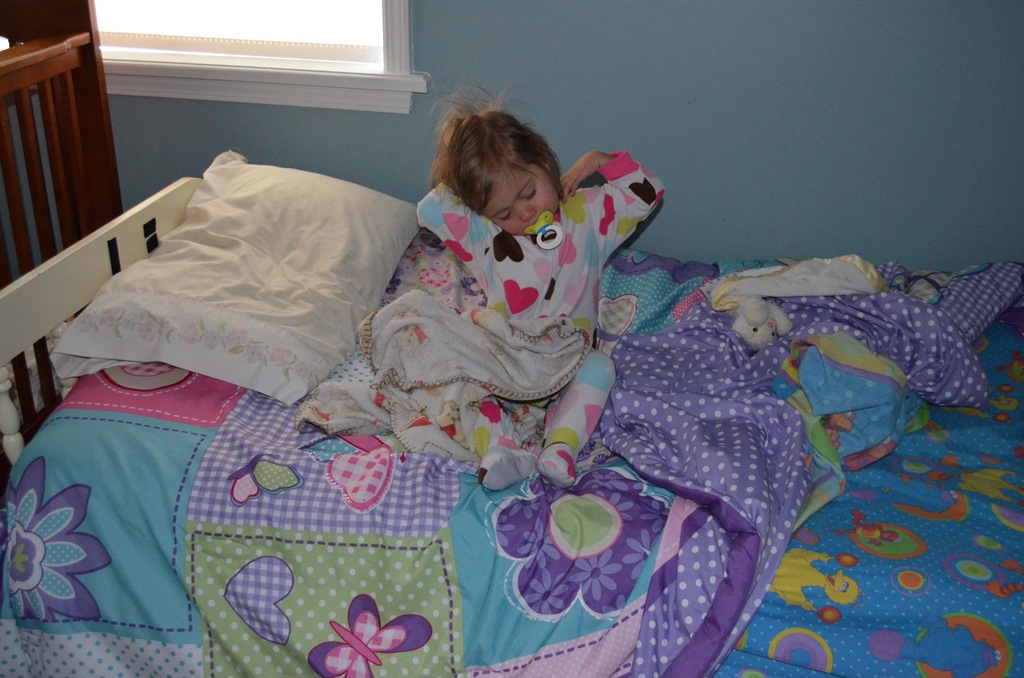 [DSC_0535%255B3%255D.jpg]