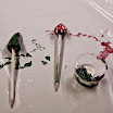 20111125-079.jpg