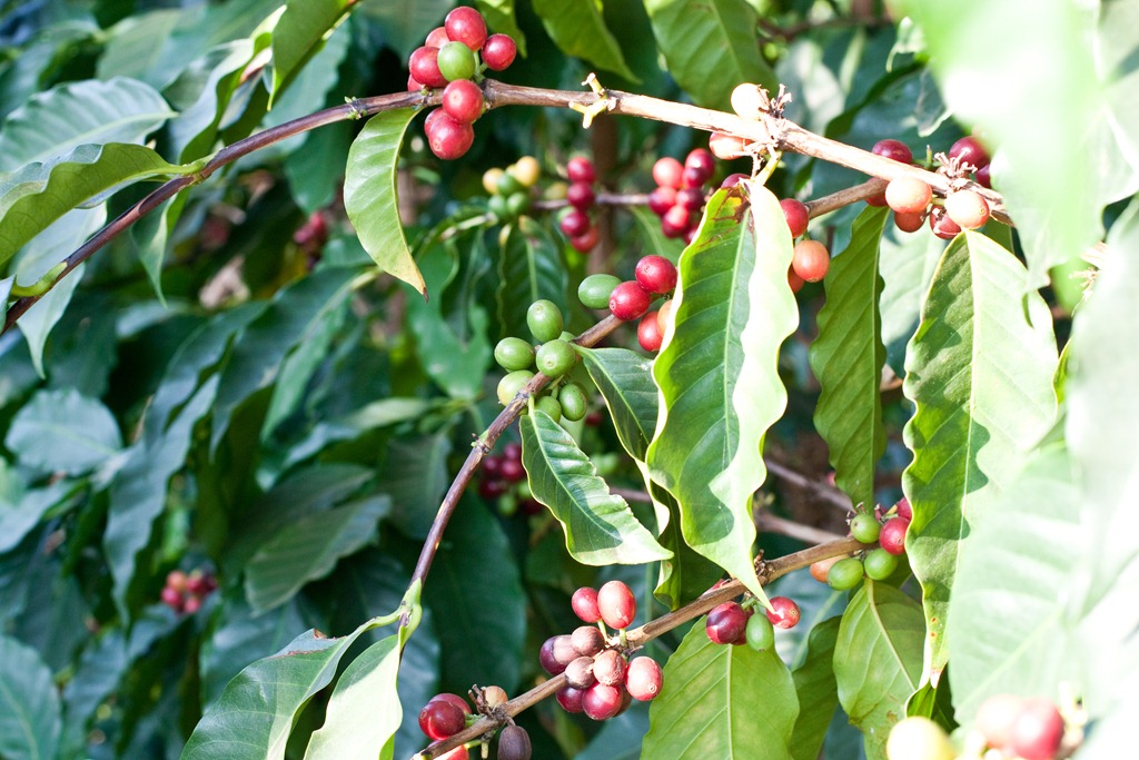 [20121216-IMG_45874.jpg]