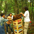 ArtPlant2009・協働制作