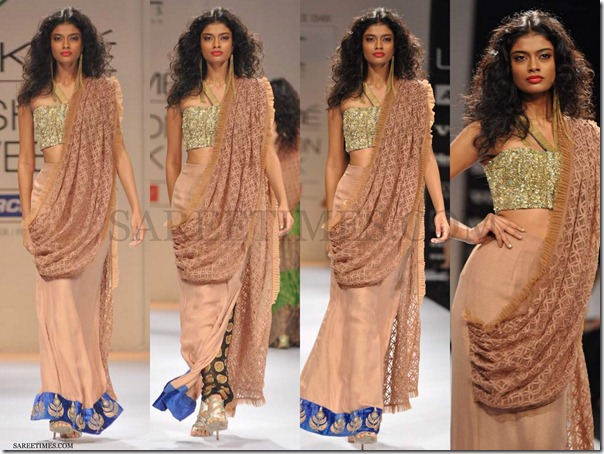 Payal_Kapoor_Tan_Saree