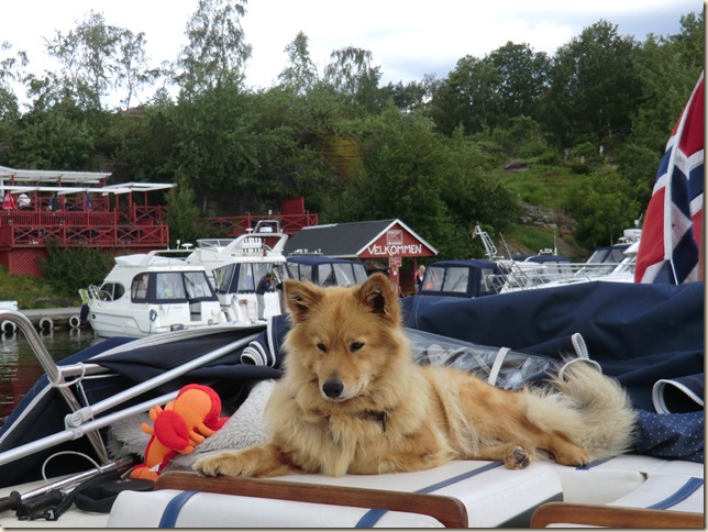 juli 2011 Sola og båtur 240