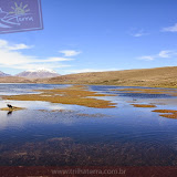 Arica - Parque Nacional Lauca (30 de 48).jpg
