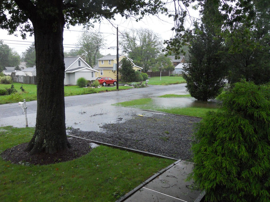 [DSCN54707.jpg]