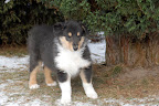 _DSC0005.JPG