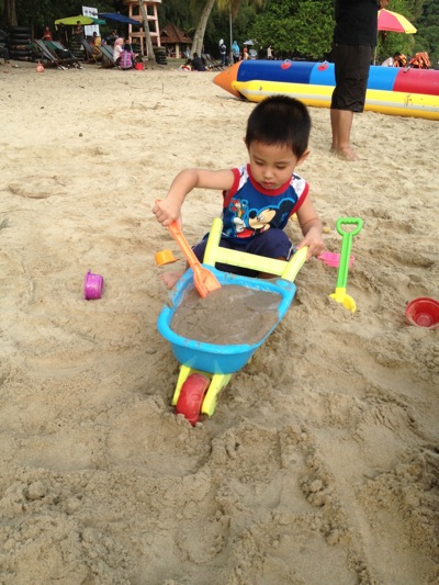 IMG_7971.jpg IMG_7971.jpg