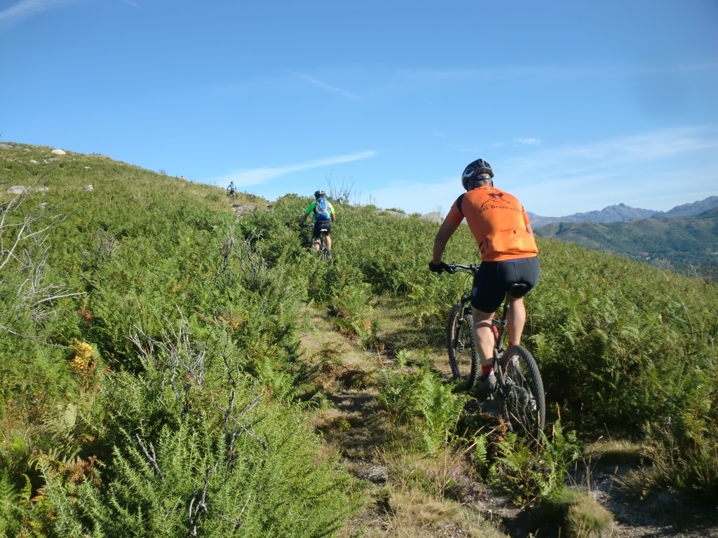 [CIMG7283%255B2%255D.jpg]