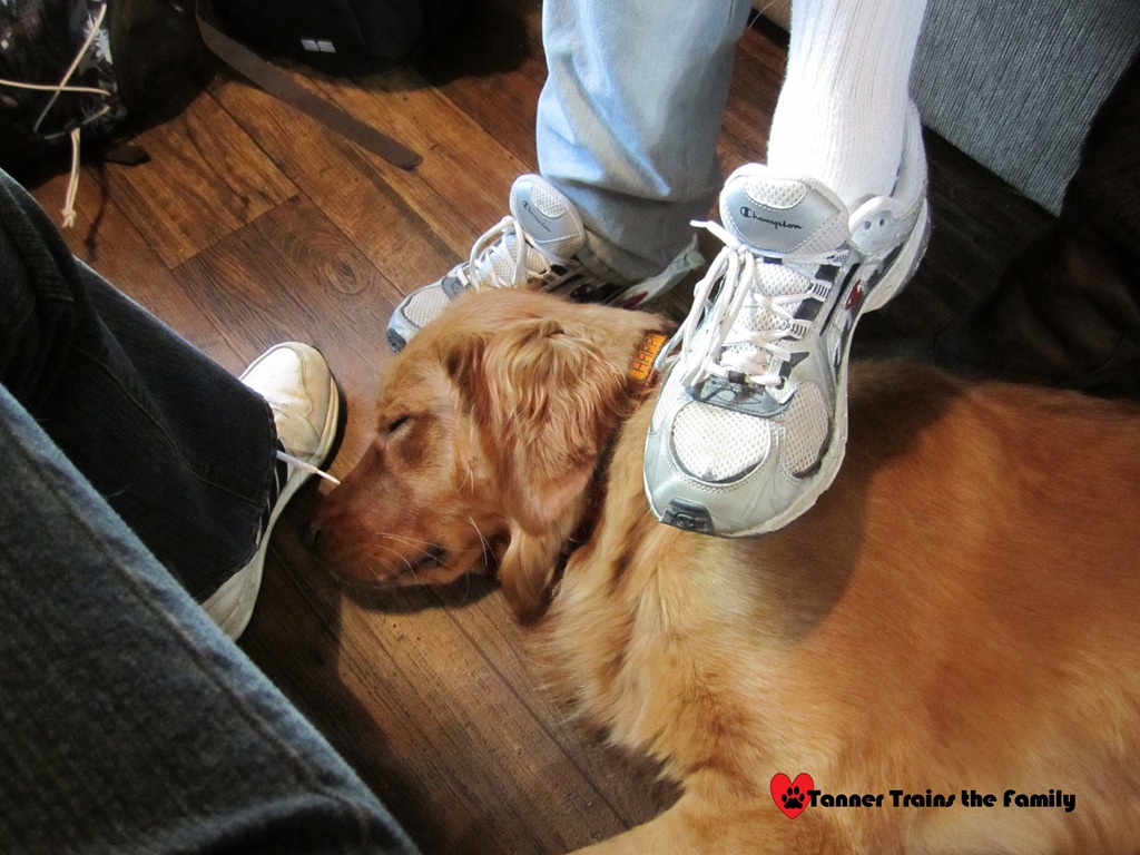 [20111113_35.jpg]