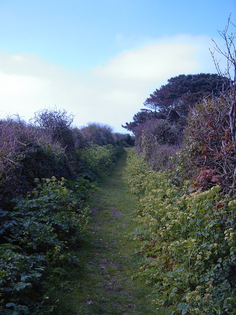 The Main Road