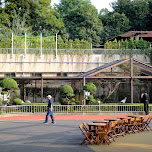 ueno zoo in Ueno, Japan 