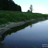 dsc03609.jpg