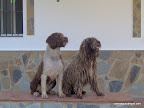 Gordo pelado y Turca por pelar.