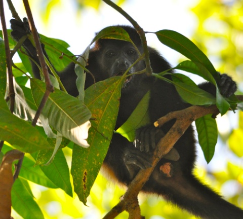 DSC_0372.jpg DSC 0372