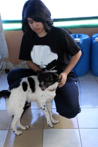 [IMG_0573%255B4%255D.jpg]