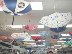 11.2011 Maine Naples Tonys Foodland umbrellas3