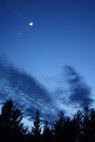 IMG_2511 IMG_2511