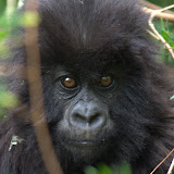 Rwanda