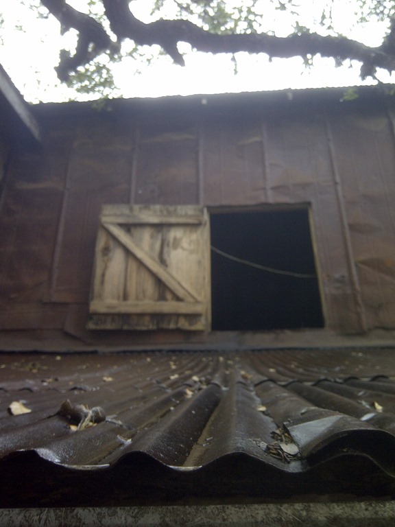 [IMG-20130209-11396%255B2%255D.jpg]