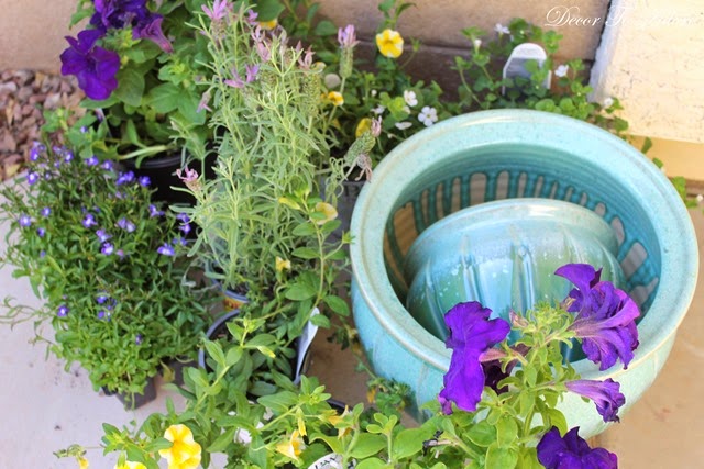 [1-IMG_2873-001%255B3%255D.jpg]