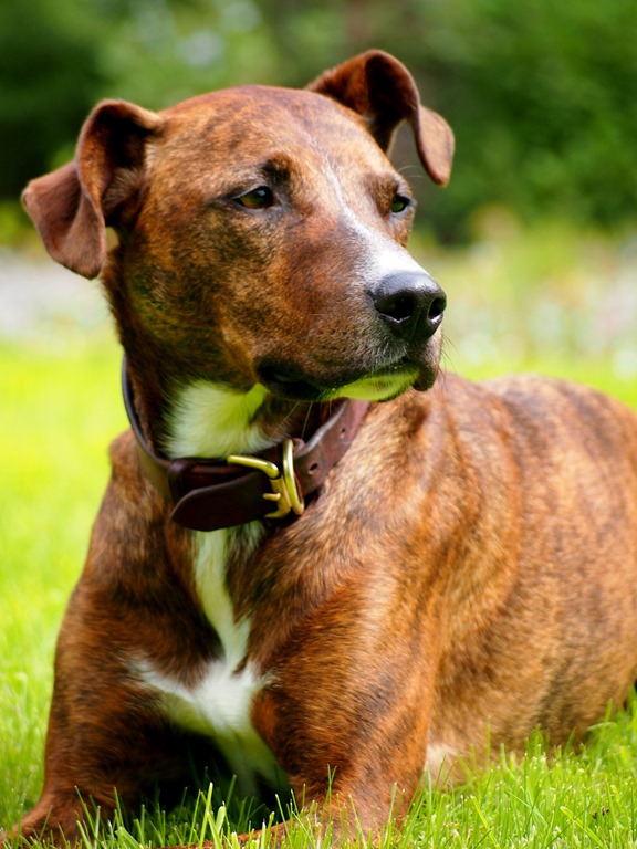 [23%2520May%25204%255B3%255D.jpg]