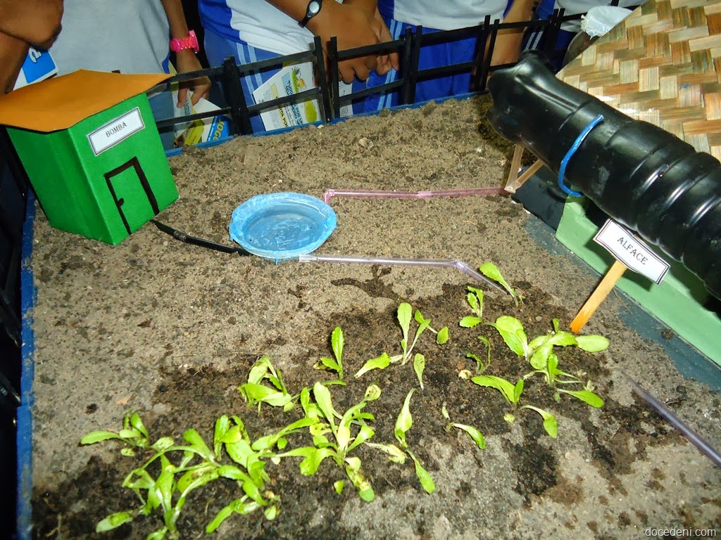 [DSC04477%255B7%255D.jpg]