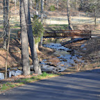 Harris Shoals Stream