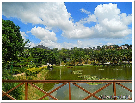 DSCN0639 DSCN0639