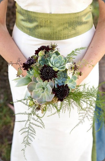 430728_387817917912187_264044300289550_1511387_1973763449_n the succulent perch 430728_387817917912187_264044300289550_1511387_1973763449_n the succulent perch